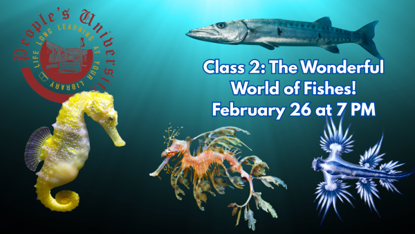 People's U., Marine Biology, Class 2: The Wonderful World of Fishes