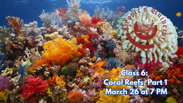 People's U., Marine Biology, Class 6: Coral Reefs, Part 1
