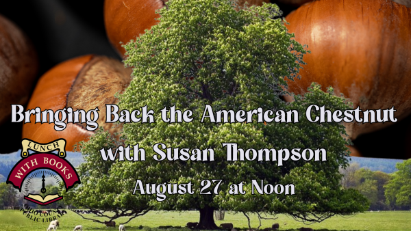 Bringing Back the American Chestnut Tree