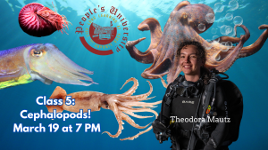 People's U., Marine Biology, Class 5: Cephalopods