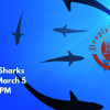 People's U., Marine Biology, Class 3: Sharks and Rays