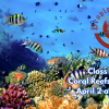 People's U., Marine Biology, Class 7: Coral Reefs, Part 2