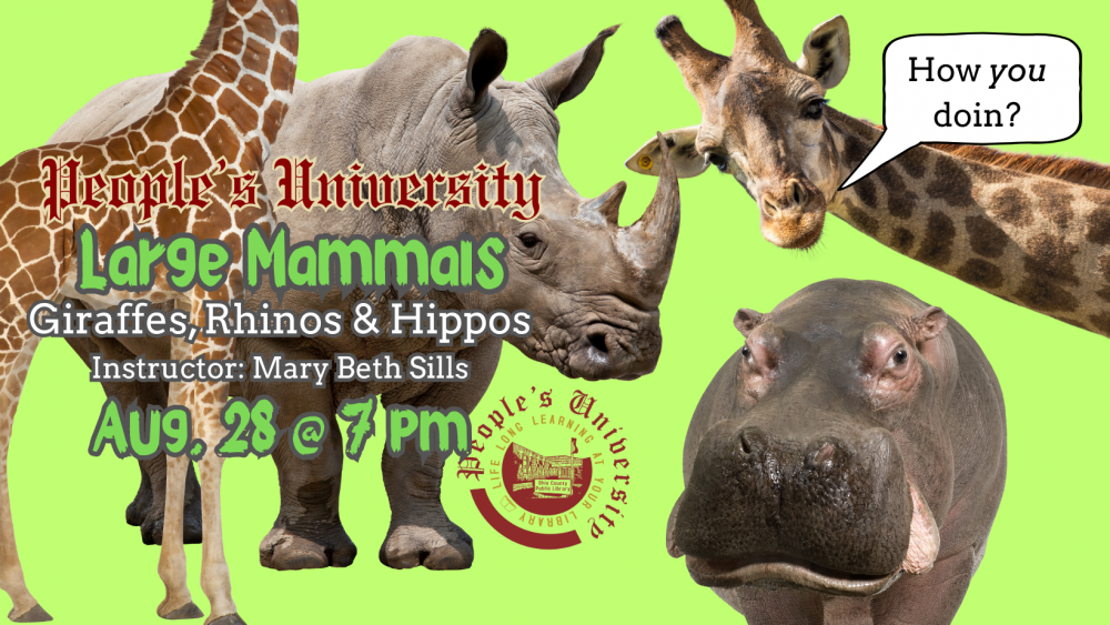 People's University Zoology, Class 2: Herbivores Part 2 -  Giraffes, Rhinos, & Hippos