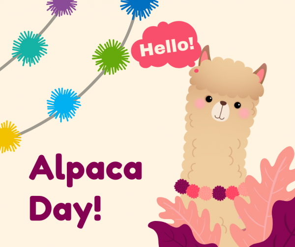 Alpaca Day