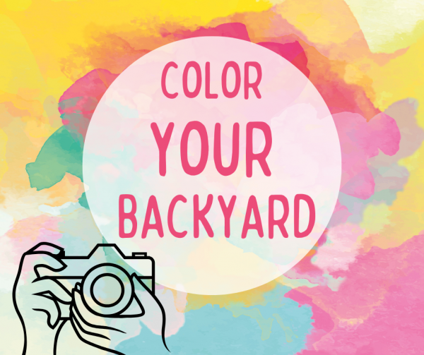 Color Your Backyard