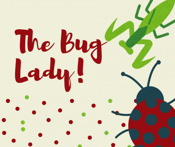 The Bug Lady