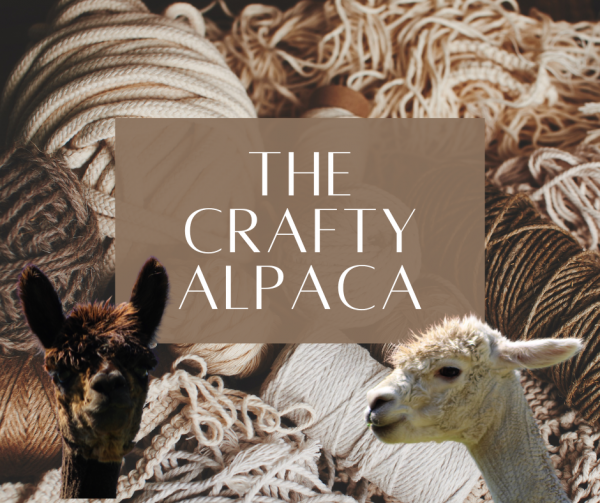 The Crafty Alpaca with  Mary Burns