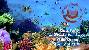 People's U., Marine Biology, Class 7: Coral Reefs, Rainforests of the Ocean