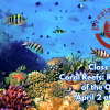People's U., Marine Biology, Class 7: Coral Reefs, Rainforests of the Ocean