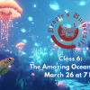 People's U., Marine Biology, Class 6: The Amazing Ocean Realm