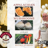 Appalachian Mushrooms with Walter Sturgeon  